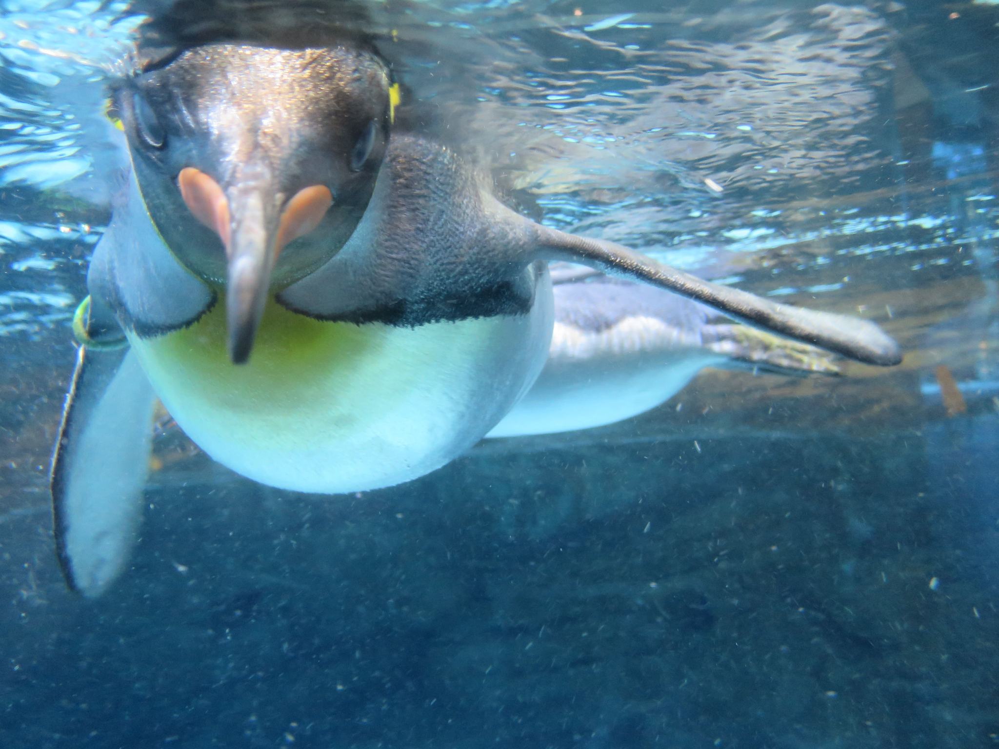 Tierpark Zoo  07